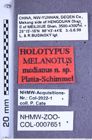 Etikette zu Melanotus medianus (Platia & Schimmel, 2001) (NHMW-ZOO-COL-0007651)